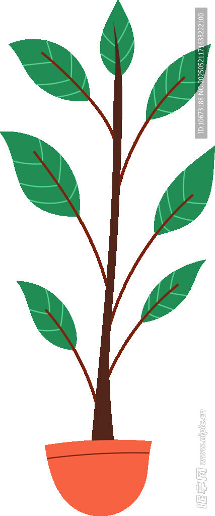 盆栽绿植 清新室内小植物