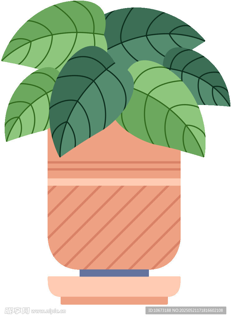 简约盆栽插画
