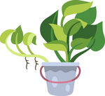 桶中绿植幼苗插画