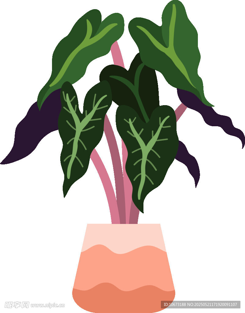 粉色花盆中的绿植