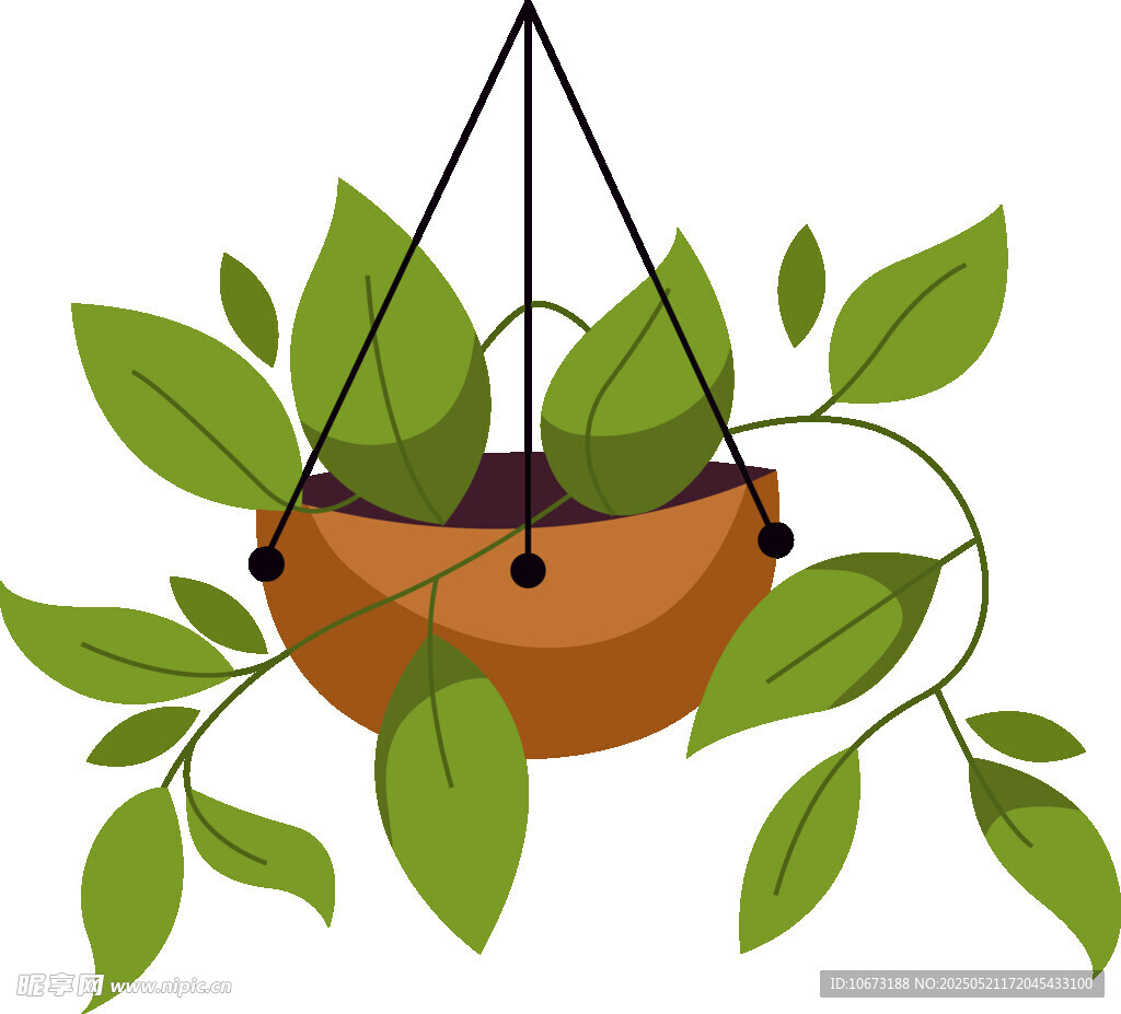 悬挂绿植盆栽插画