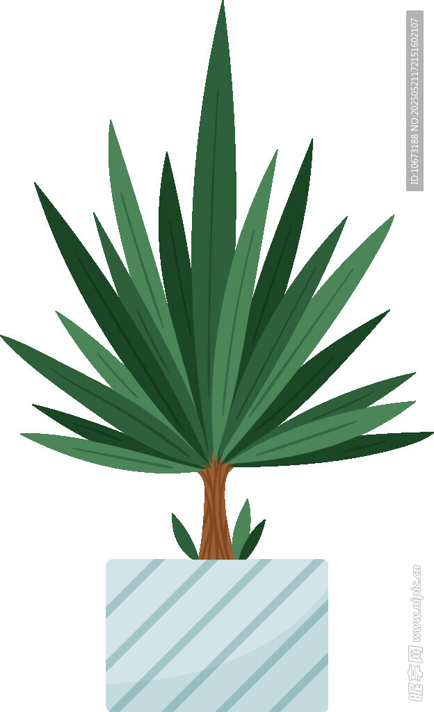 盆栽龙舌兰植物插画