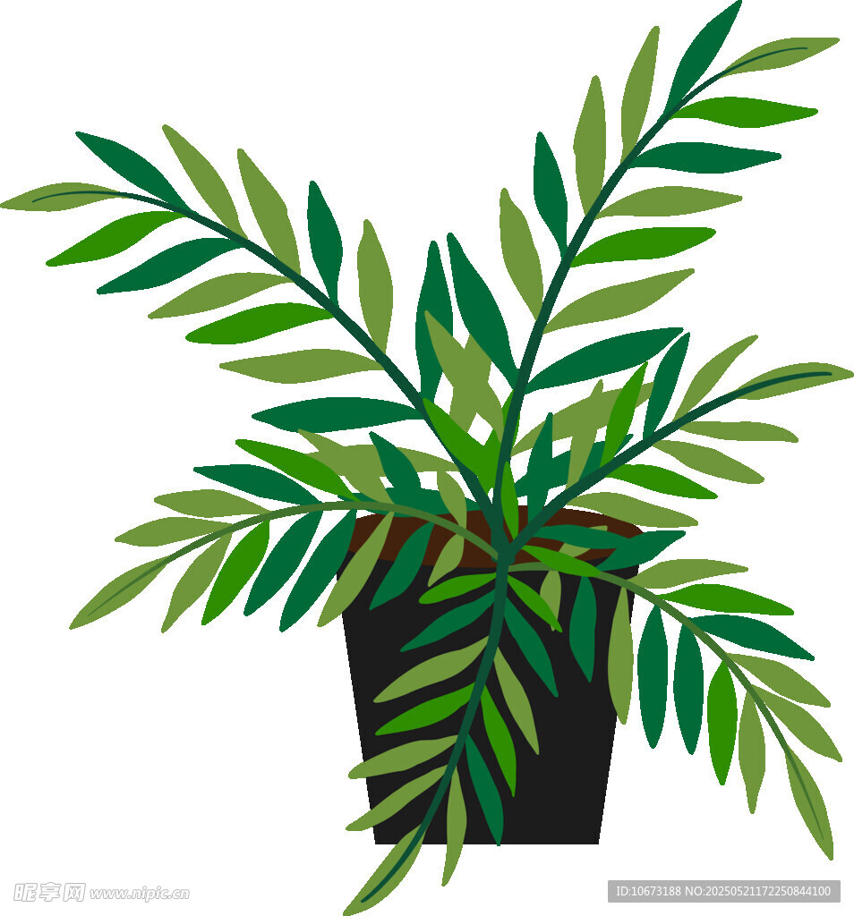 盆栽绿植插画