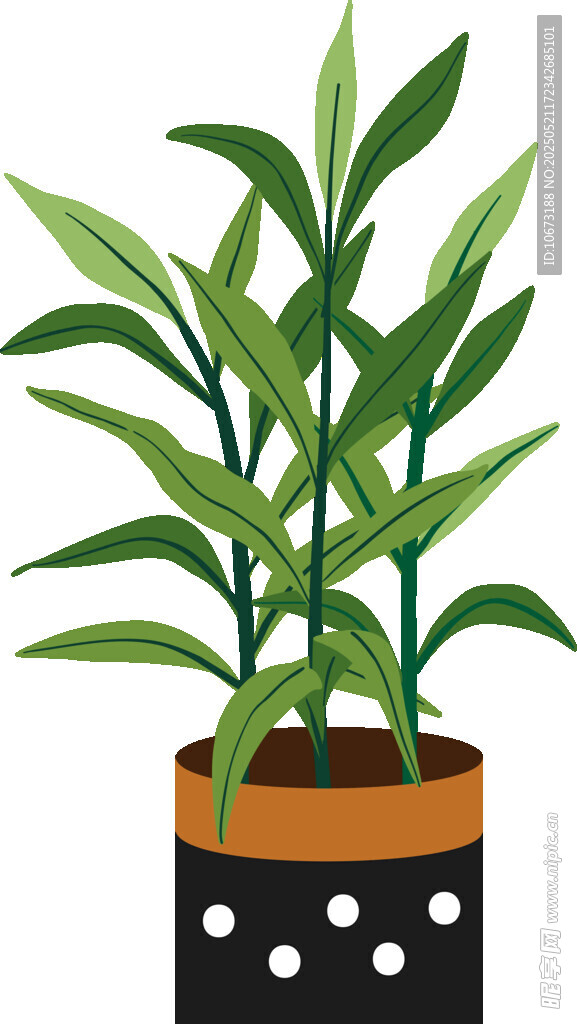 盆栽绿植 简约风装饰植物