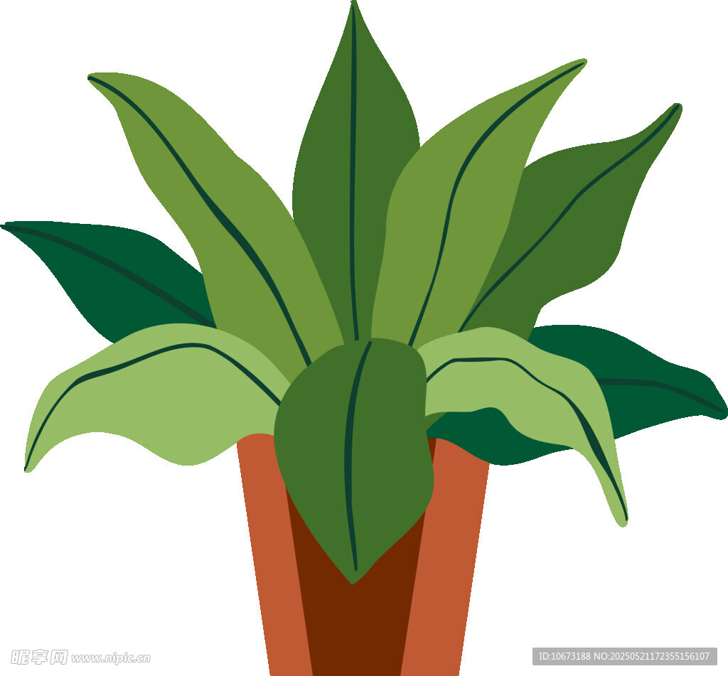 盆栽绿植插画