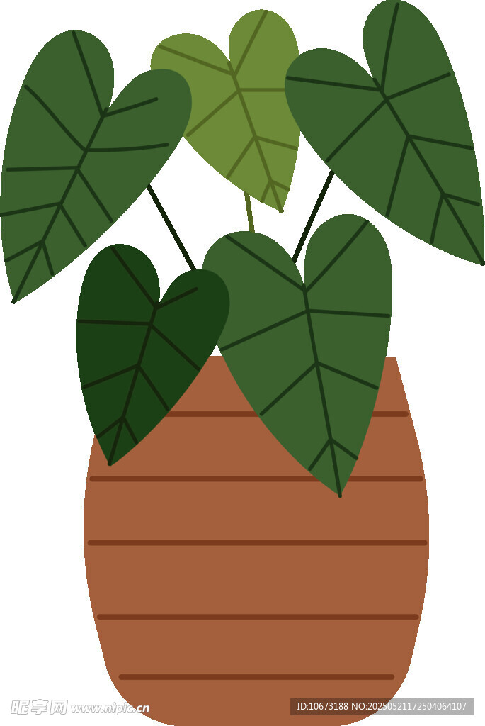 花盆中的绿叶植物