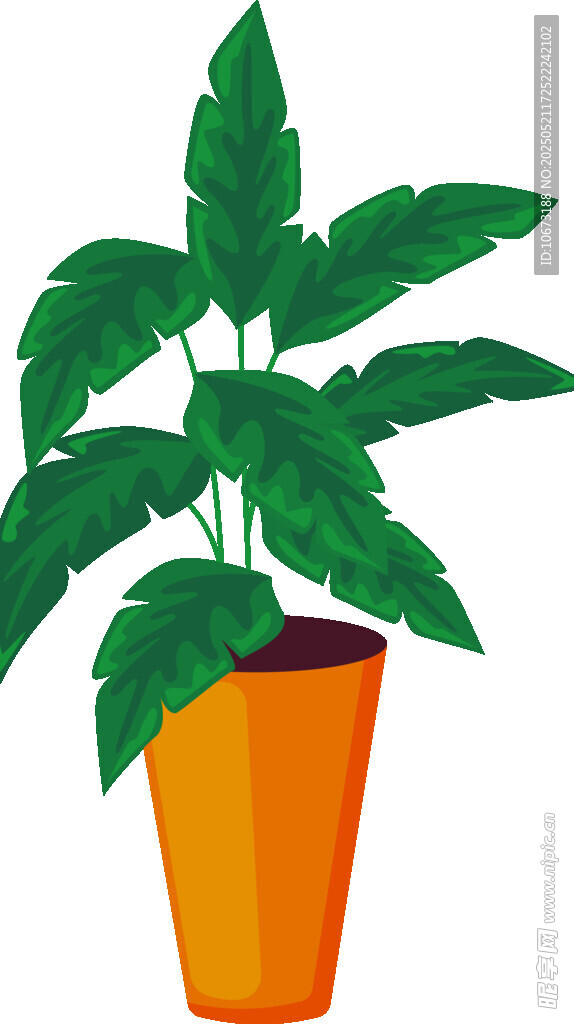 橙色花盆中的绿色植物
