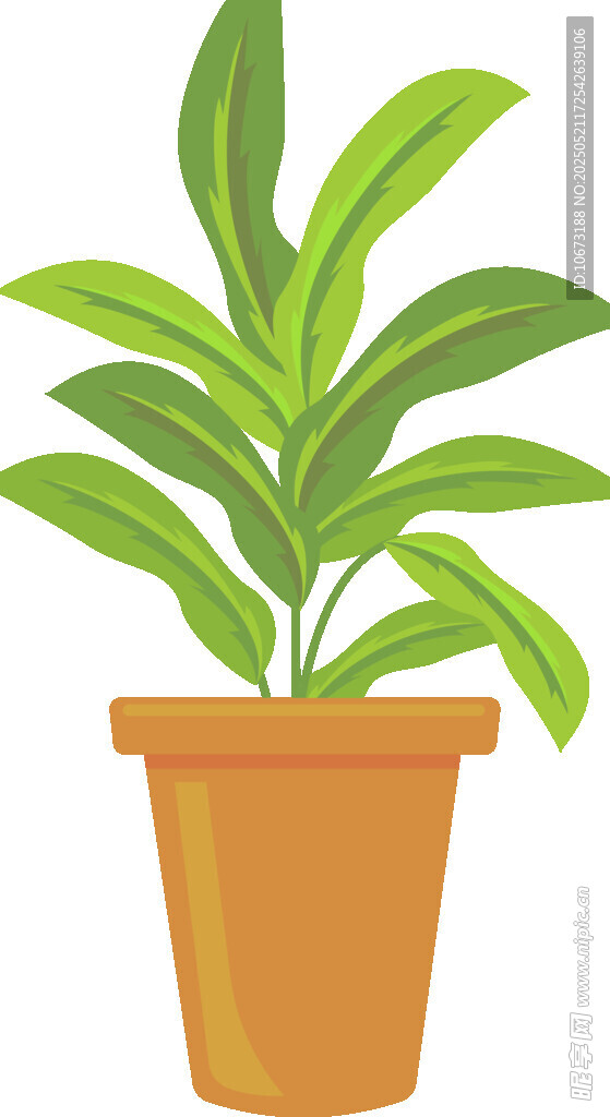 盆栽绿植 清新室内植物