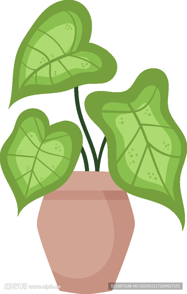 花盆中的绿叶植物
