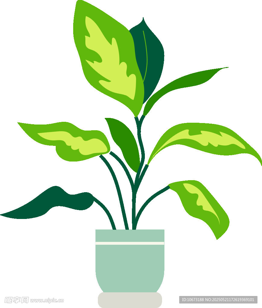 盆栽绿植插画