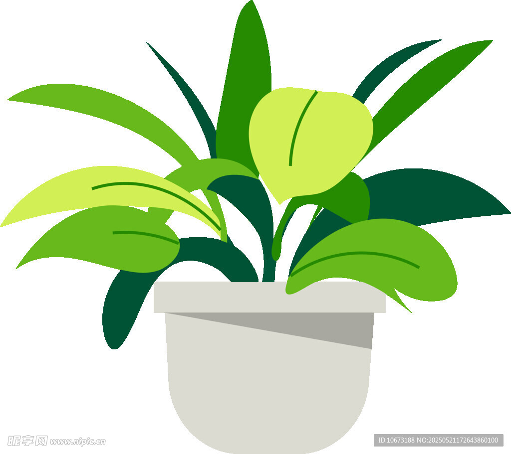 盆栽绿植插画