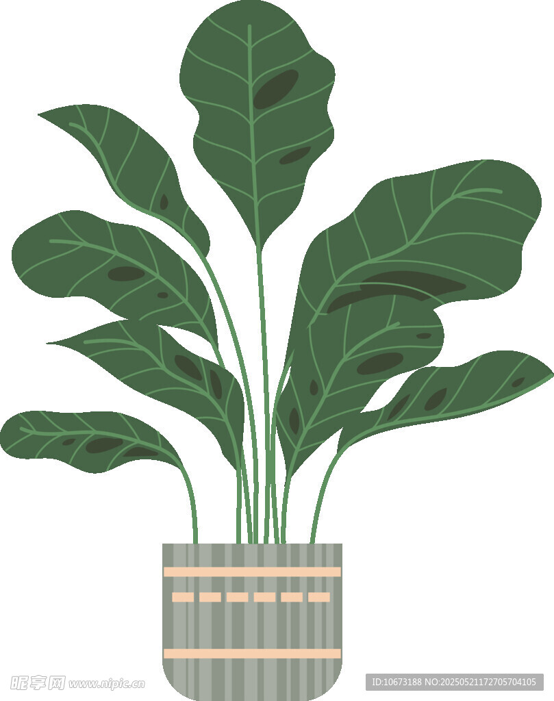 盆栽绿植插画