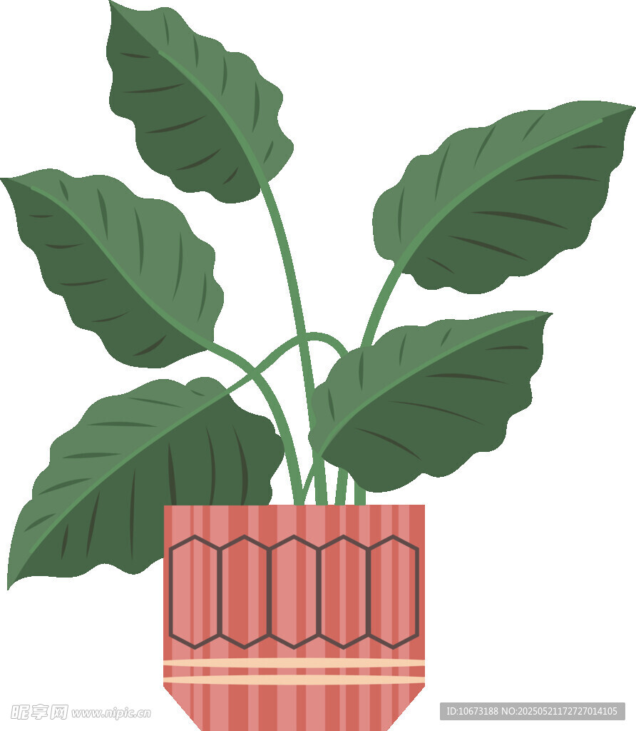 盆栽绿植插画