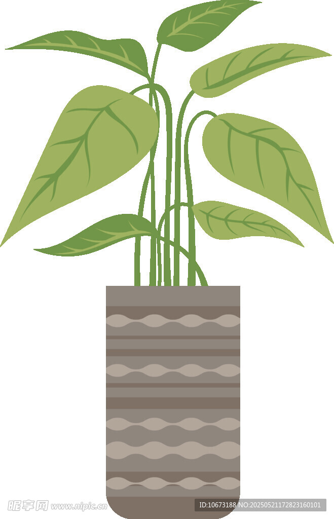 盆栽绿植插画