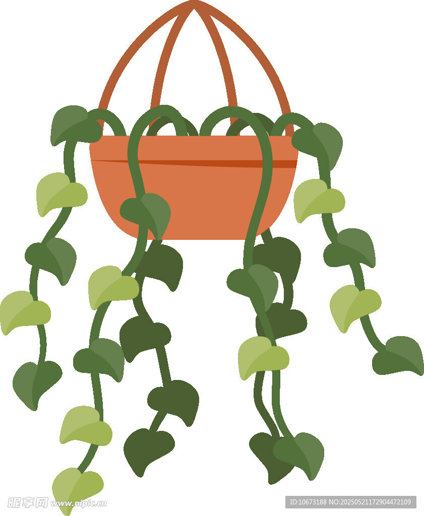 悬挂绿植盆栽插画