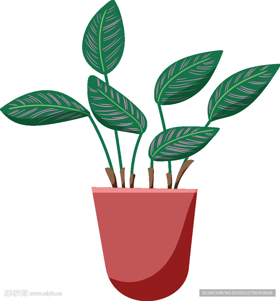 盆栽绿植插画