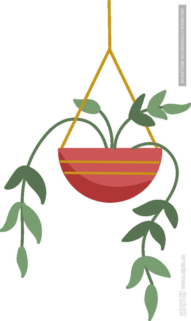 悬挂绿植盆栽