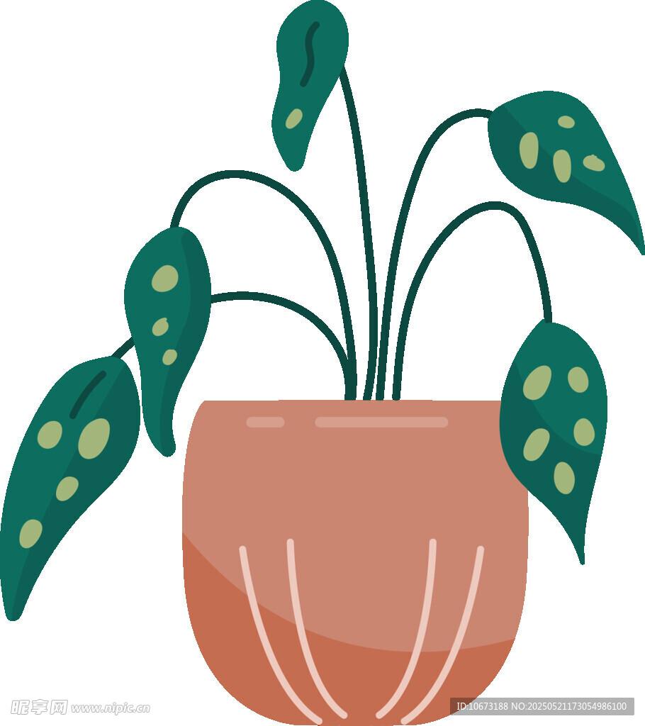 盆栽绿植插画