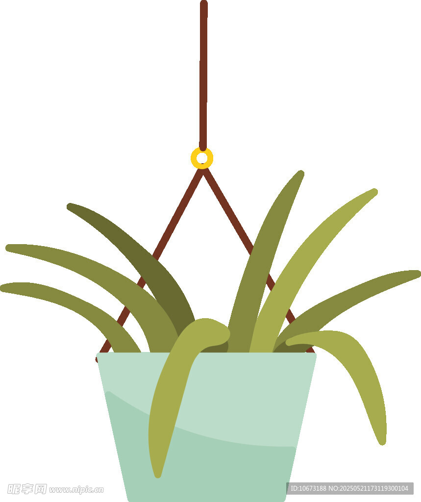 悬挂绿植盆栽