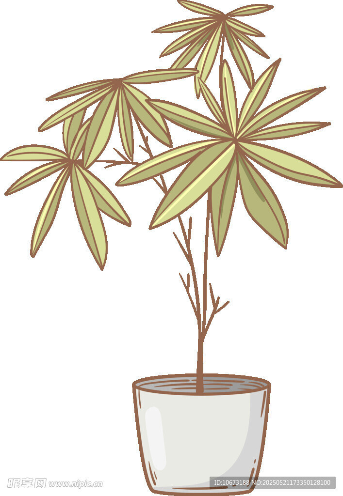 盆栽绿植插画