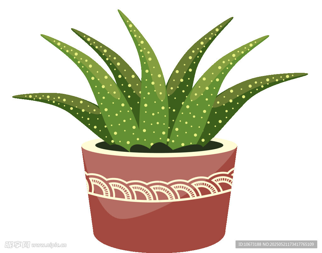盆栽芦荟插画