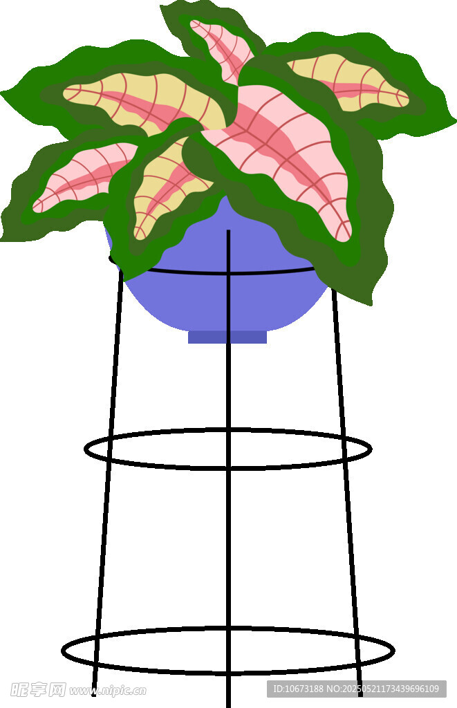 金属架上的多彩盆栽植物