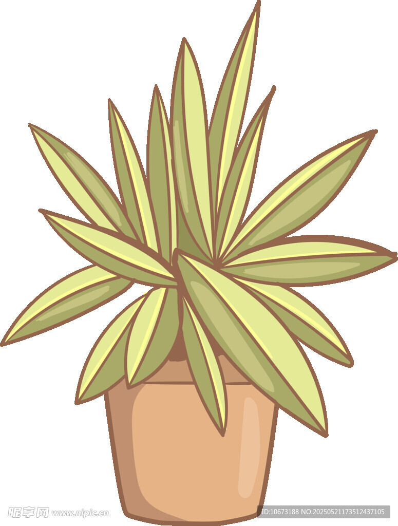 盆栽绿植插画