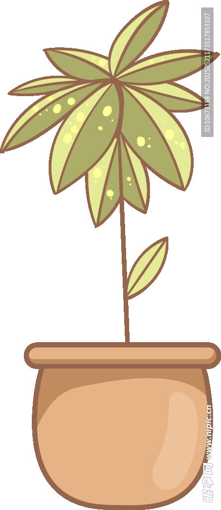 盆栽绿植 简约清新小植物