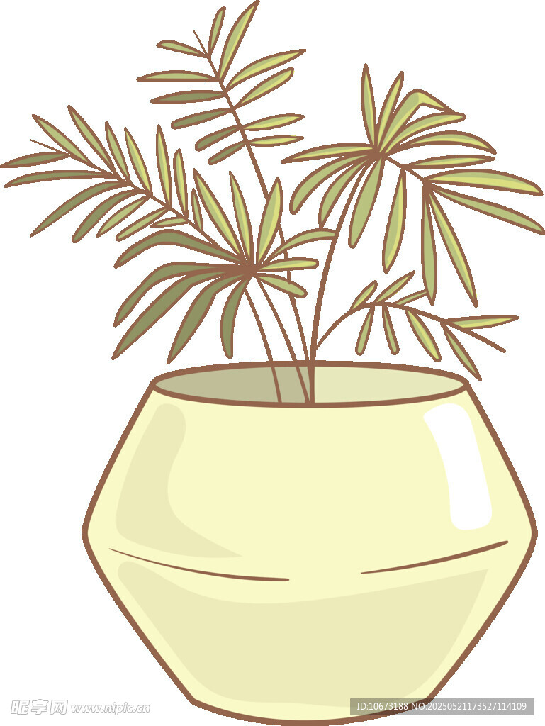 盆栽植物插画