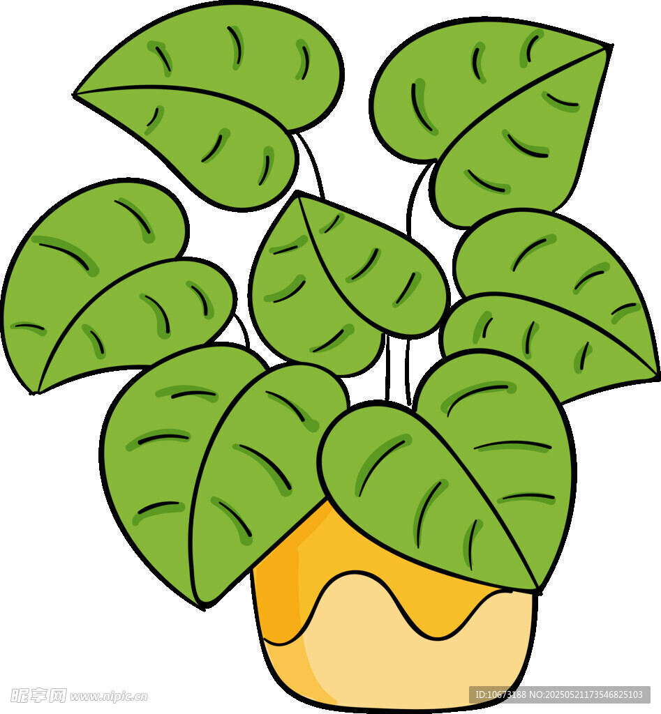 盆栽绿植插画