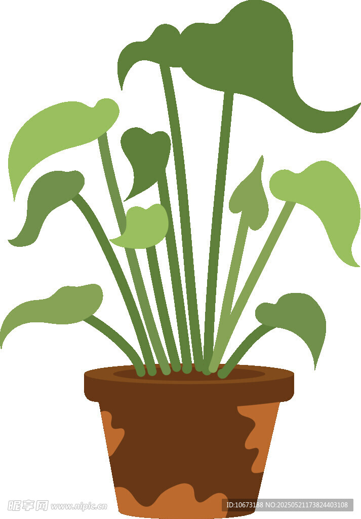 盆栽绿植插画