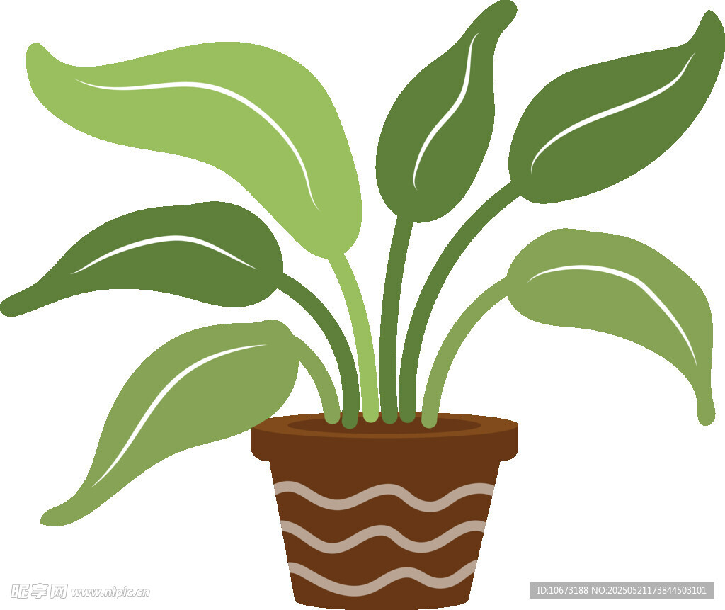 盆栽绿植插画