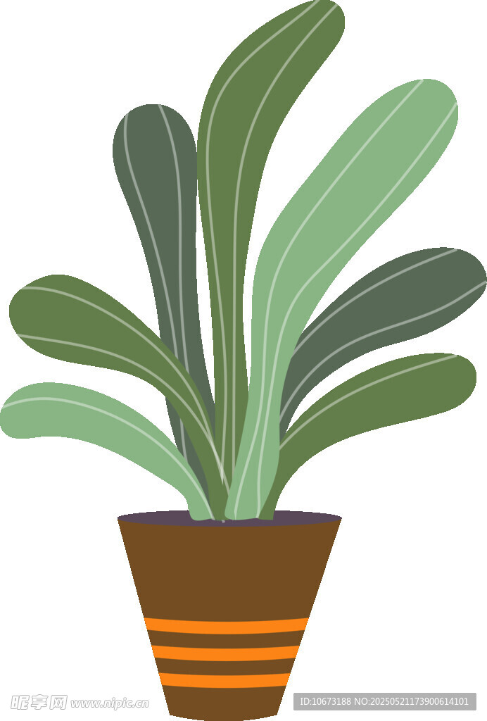 盆栽绿植插画