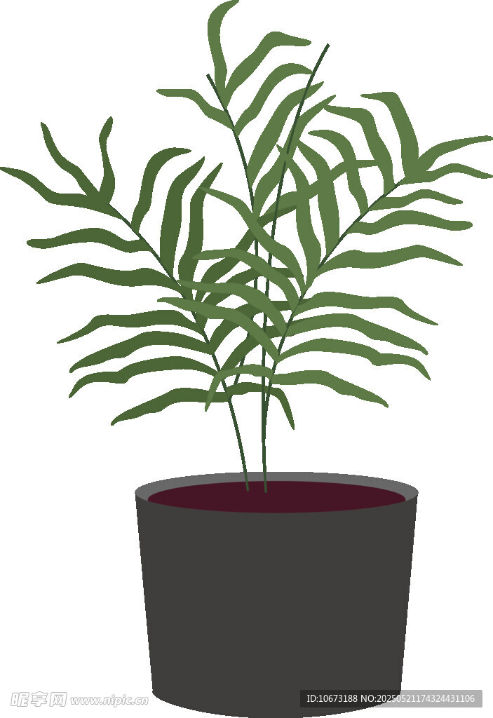 盆栽绿植 简约室内装饰植物