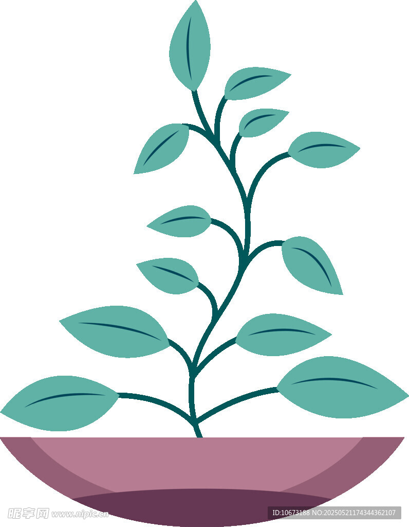 盆栽绿植插画