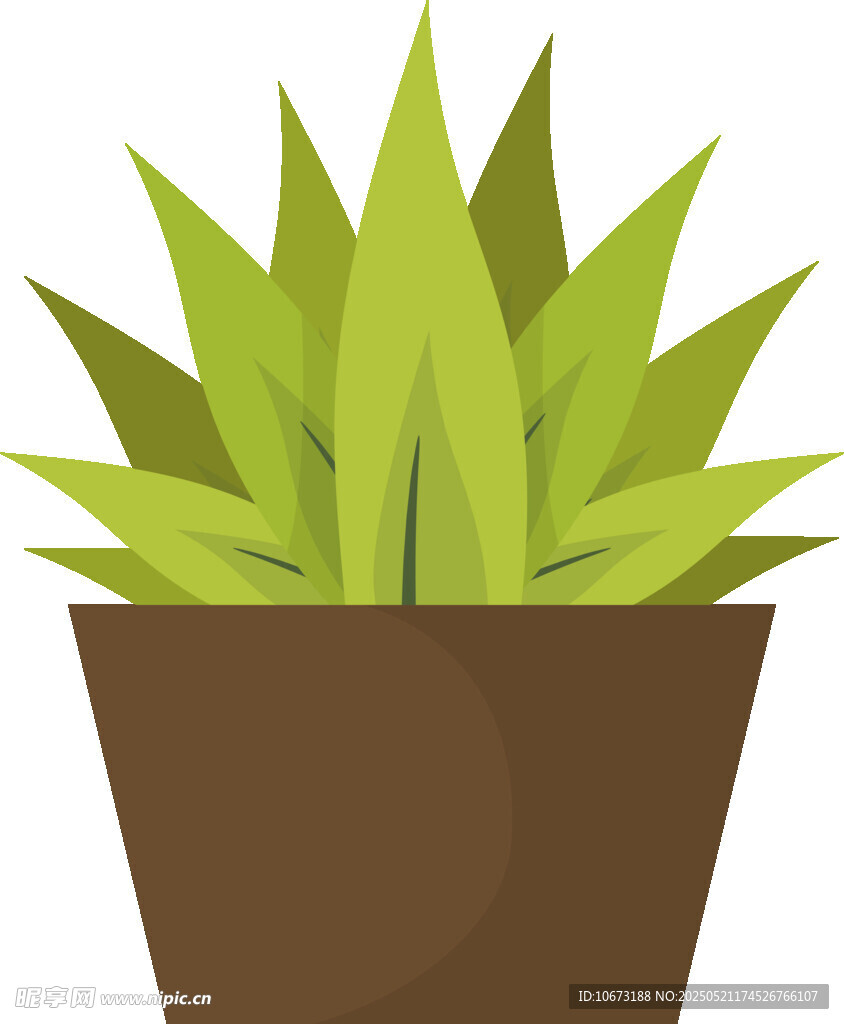 盆栽绿植插画