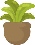 盆栽绿植插画