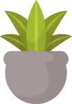 盆栽绿植插画
