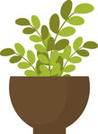 盆栽绿植插画