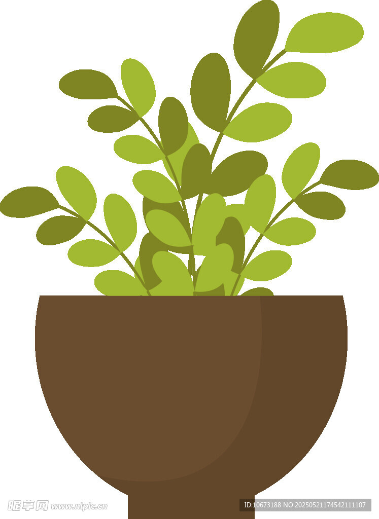 盆栽绿植插画