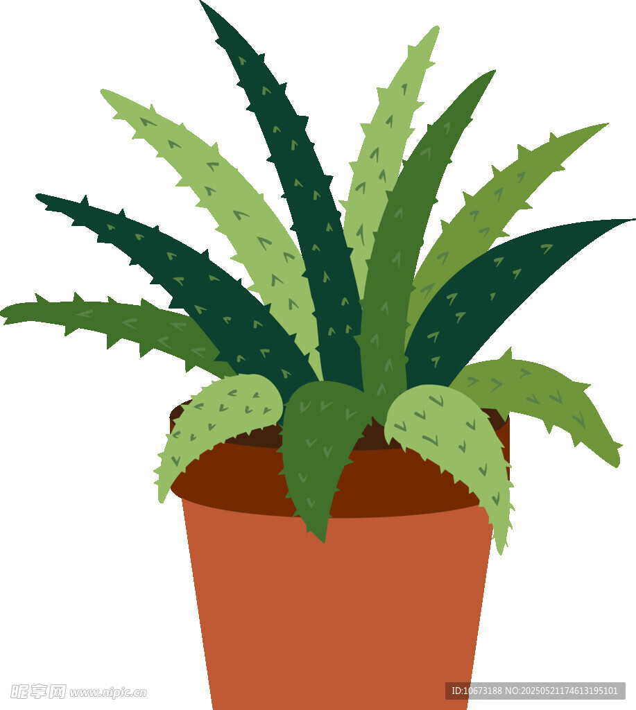 盆栽芦荟插画