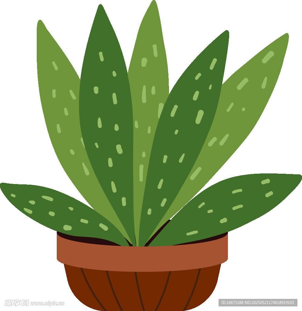 盆栽芦荟插画