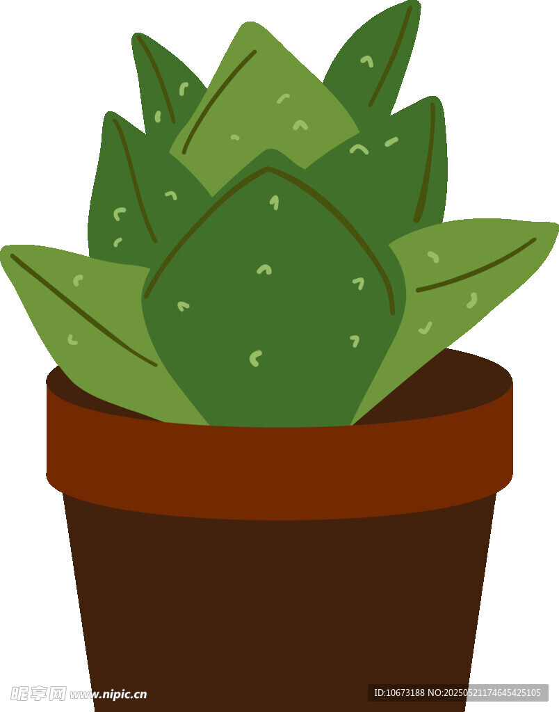盆栽芦荟插画