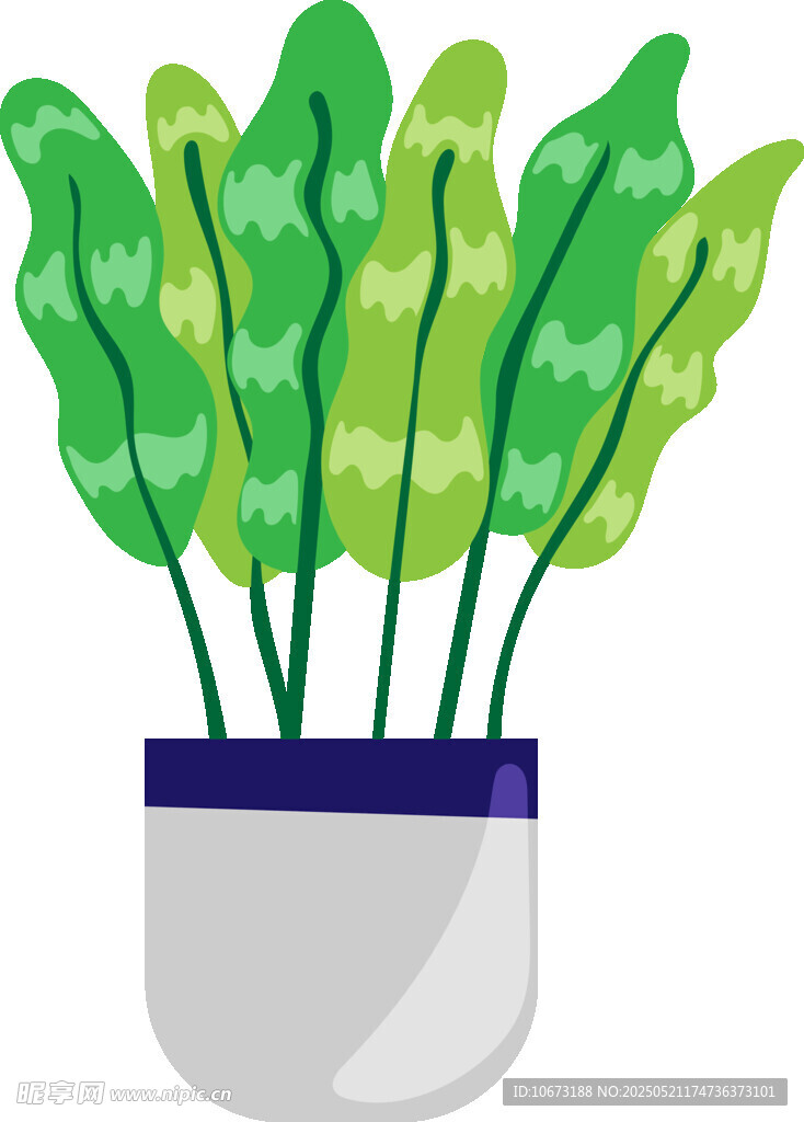 盆栽绿植插画