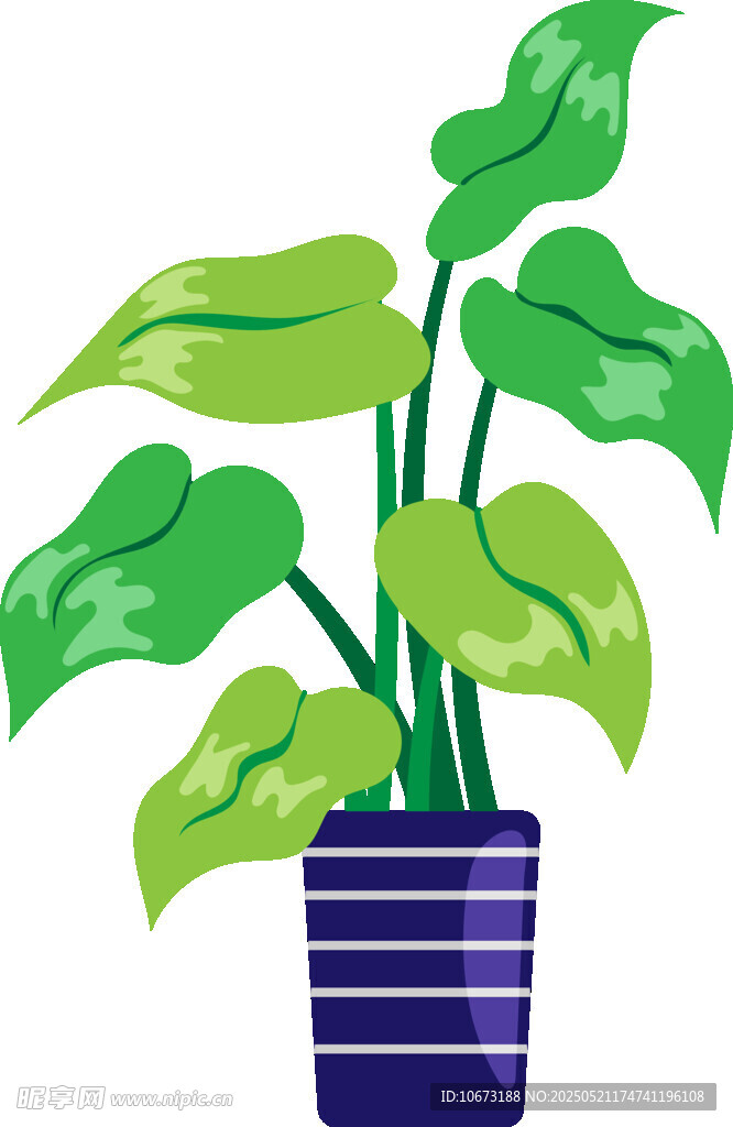 盆栽绿植插画