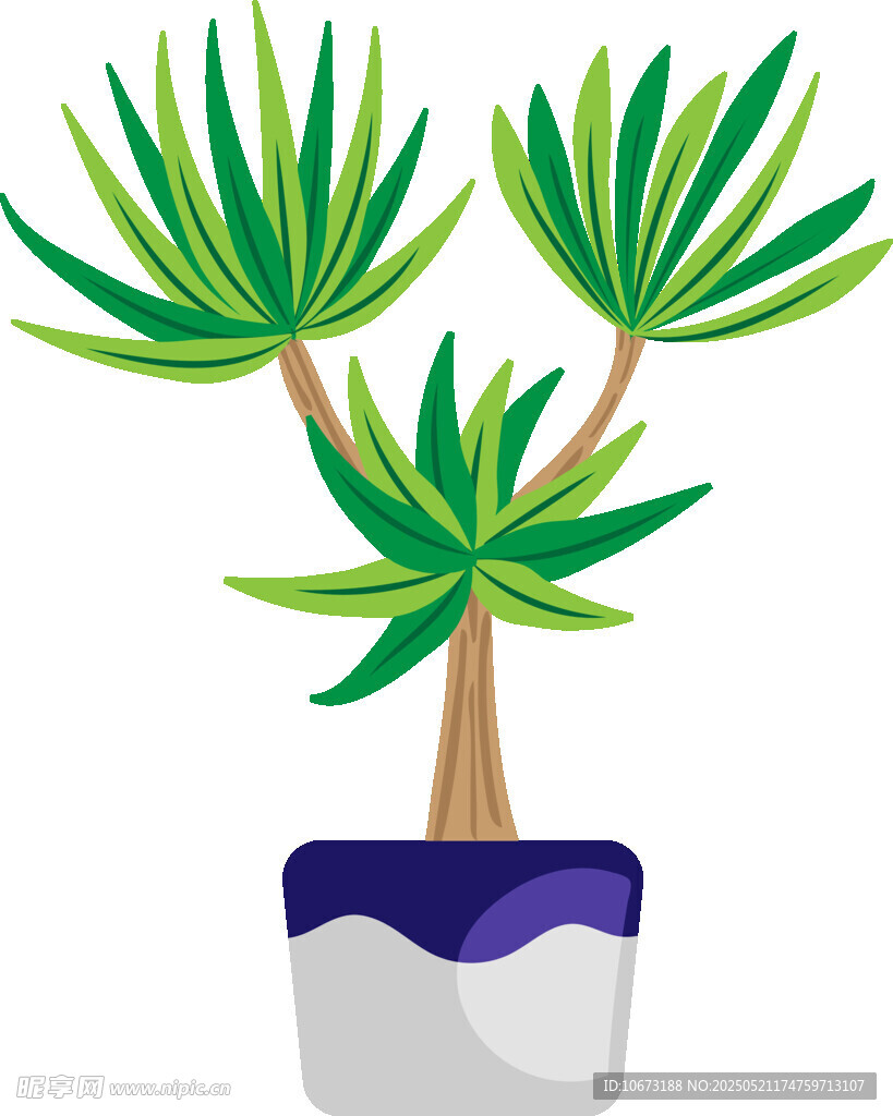 盆栽绿植插画