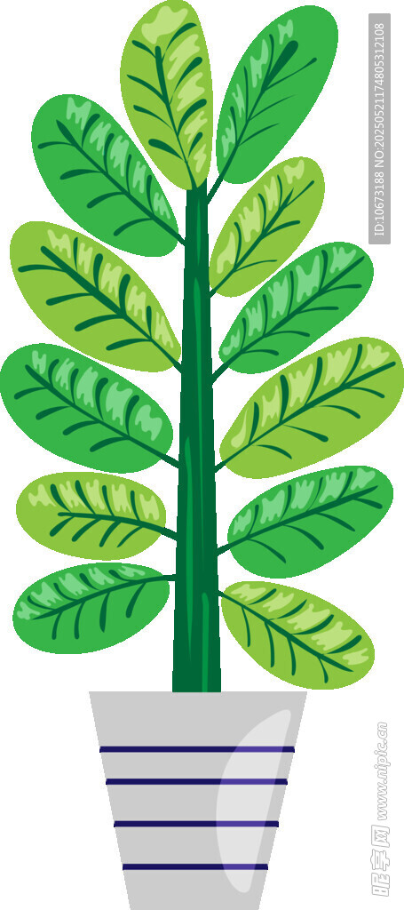 条纹盆中的绿色植物