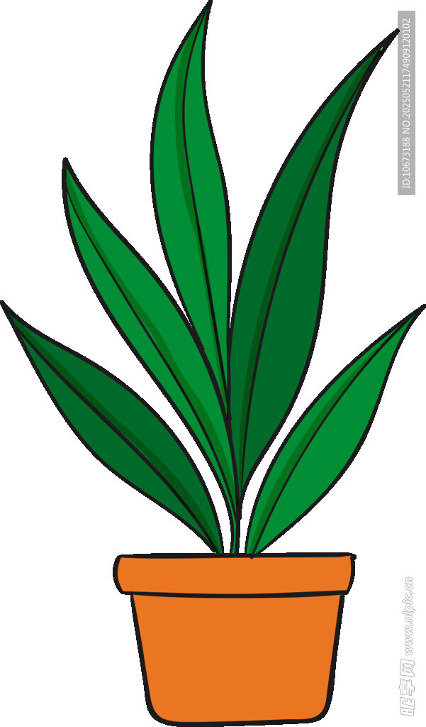 盆栽绿植 清新室内小植物