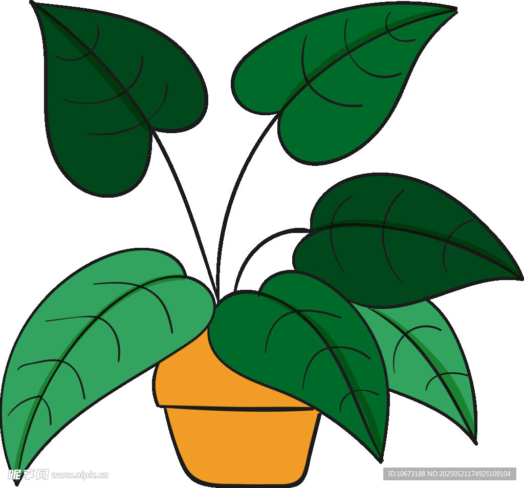 盆栽绿植插画