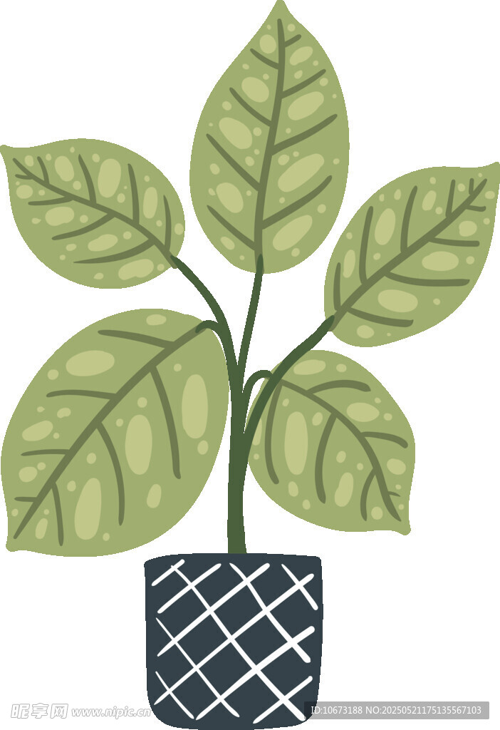 盆栽绿植插画